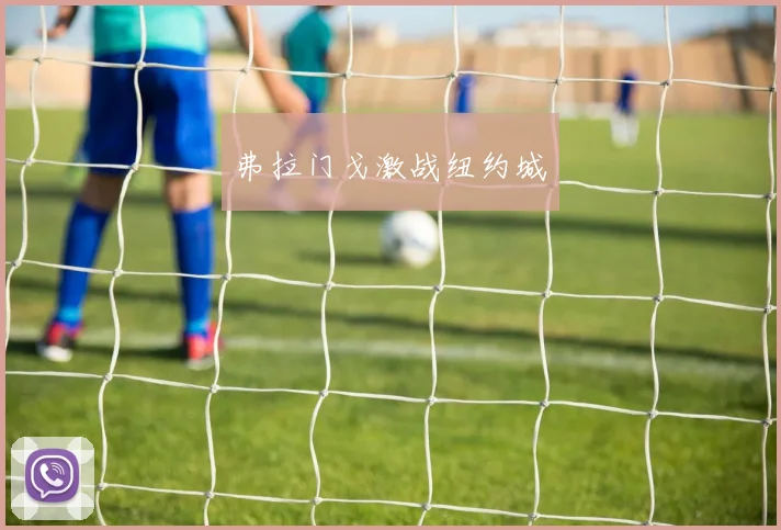弗拉门戈激战纽约城