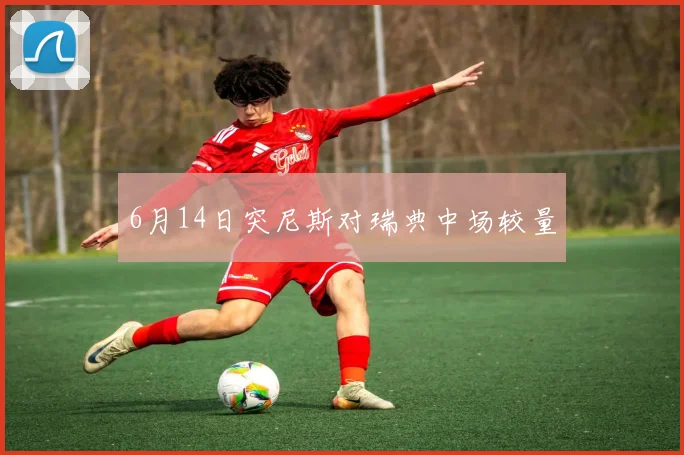 6月14日突尼斯对瑞典中场较量