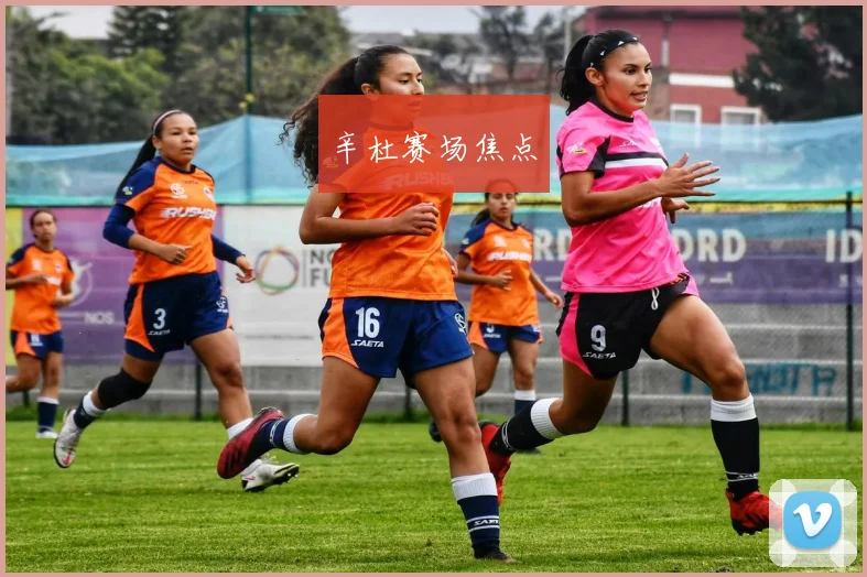 辛杜赛场焦点