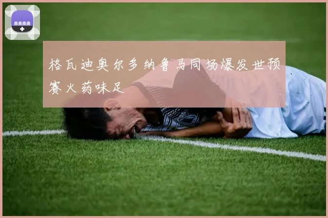 格瓦迪奥尔多纳鲁马同场爆发世预赛火药味足