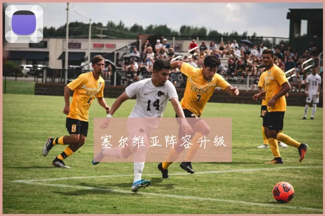 塞尔维亚阵容升级