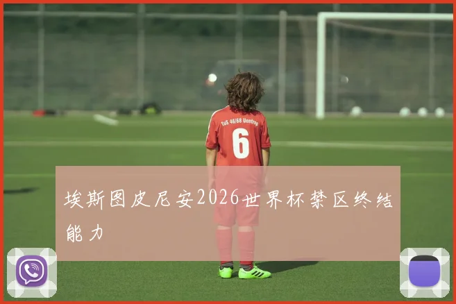 埃斯图皮尼安2026世界杯禁区终结能力